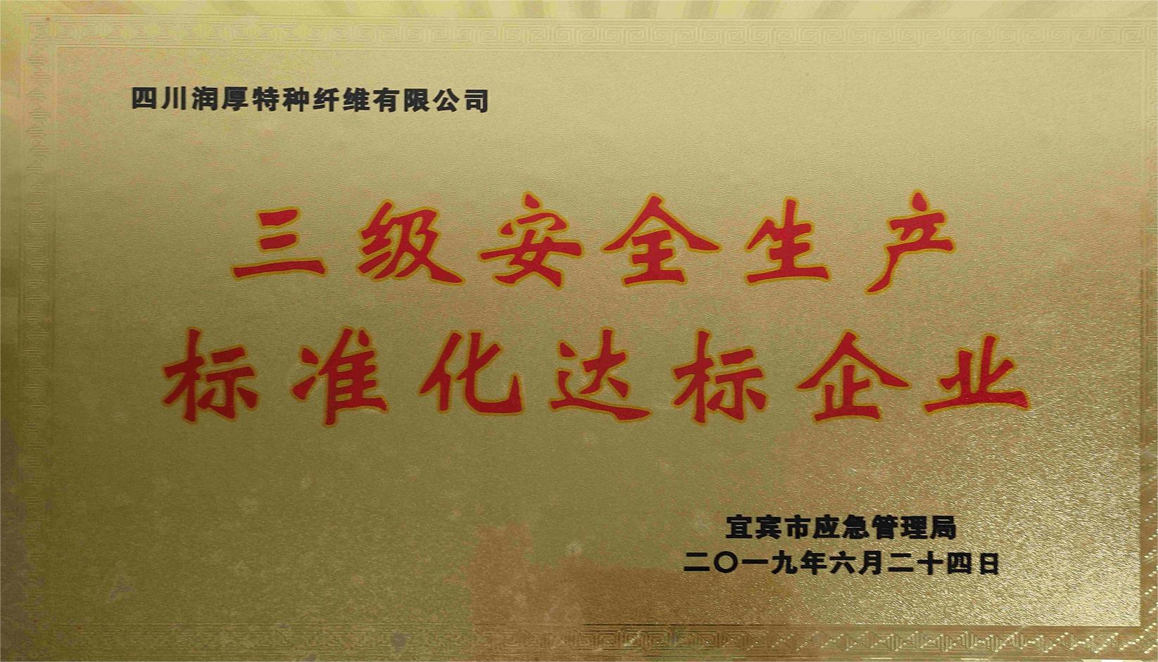 三级安全生产标准化达标企业